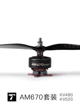 AM670 3D套装 固定翼飞机 TMOTOR 室内外 67寸航模电机电调碳桨套