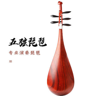 小琵琶 超希少 レア楽器 五弦 七柱 ソフトケース付 | dwk.ac.th