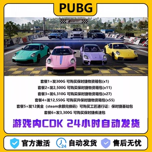 绝地求生工匠通行证保时捷神秘市场PUBG豪华版吃鸡CDK兑换码