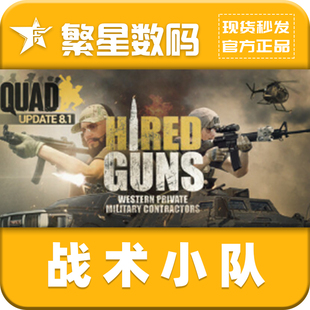 steam正版国区cdk 战术小队 Squad 国区激活码 现货秒发CDKey 激活入库正版游戏 多人竞技