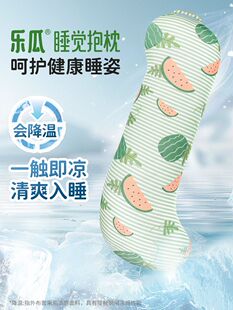 乐瓜冰丝凉感睡觉抱枕夹腿侧睡女生专用大人夏季长条可拆洗冰西瓜