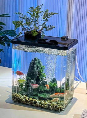 Fish tank acrylic transparent small living room decoration