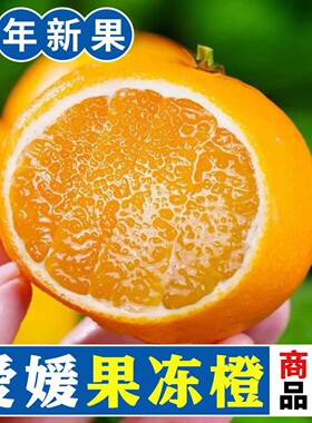 2026好吃的果冻橙、爱媛果冻橙
