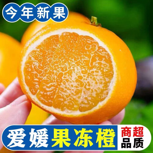 2026好吃的果冻橙、爱媛果冻橙