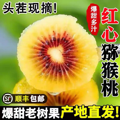 顺丰浦江红心猕猴桃新鲜应季水果整箱孕妇精选红心奇异果大果包邮