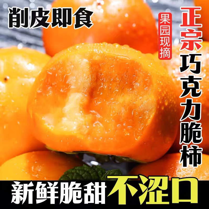 现摘巧克力脆柿太秋甜柿大柿子