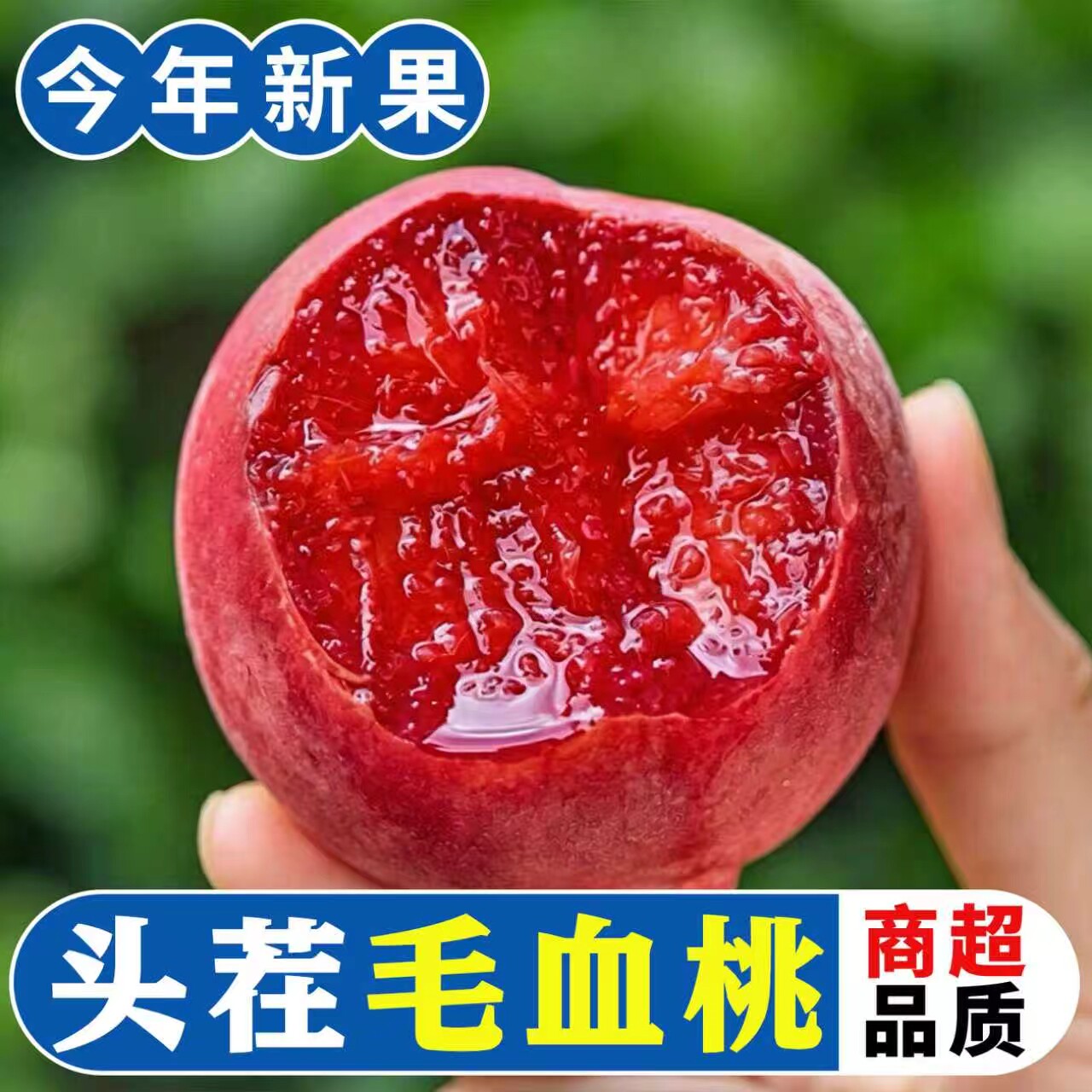 正宗新鲜血桃水果红肉桃子当季现摘毛桃孕妇脆桃非水蜜桃产地包邮