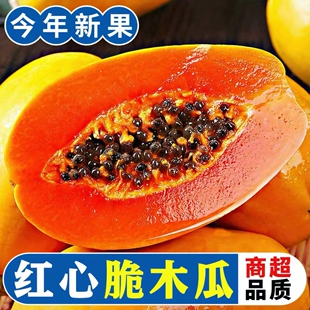木瓜新鲜下奶水果红心牛奶整箱当季应季包邮孕妇冰糖青树上自然长