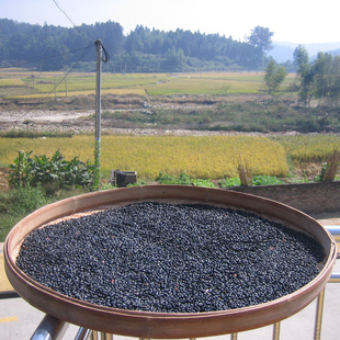 绿心黑豆 农家自产绿芯小粒粗粮 500g 豆浆原料