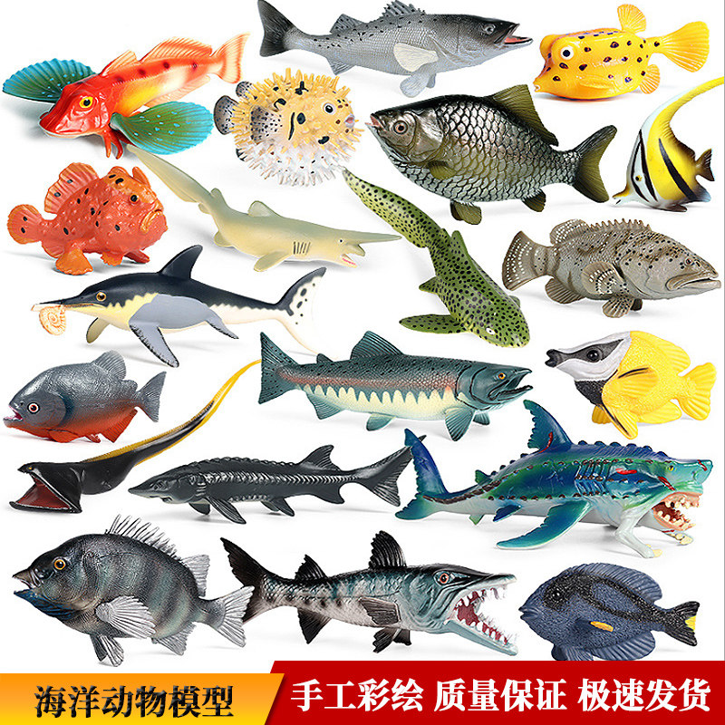 儿童认知仿真动物模型海洋淡水鱼三文鱼食人鱼金枪鱼鲈鱼飞鱼玩具
