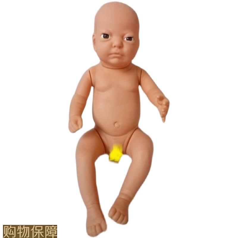 高级婴儿模型 出生婴儿模型 新生儿模型