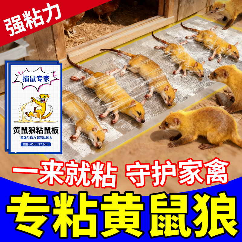 爆款热卖100w+黄鼠狼抓捕神器