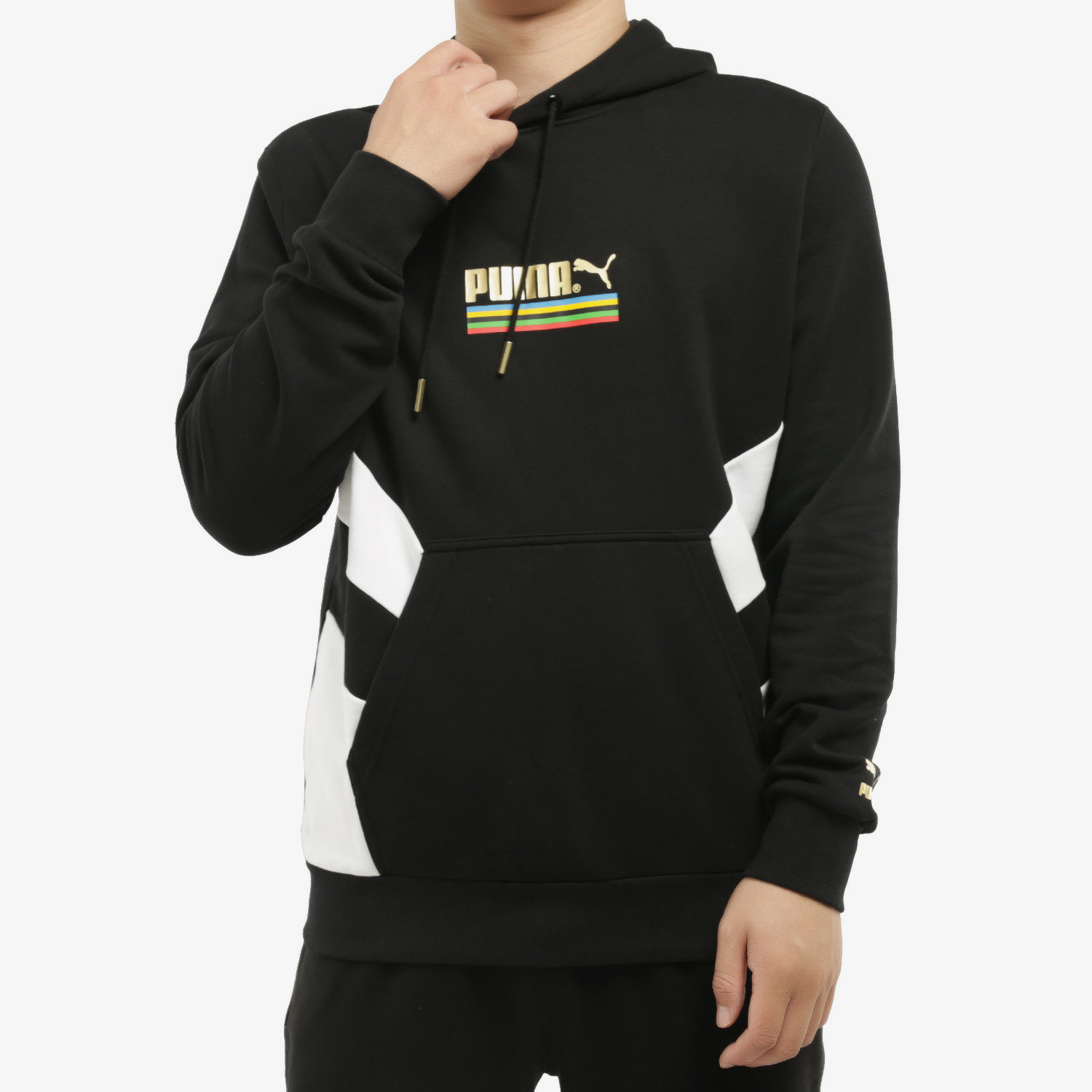 Puma/彪马正品男子烫金 LOGO 世界共振运动休闲连帽衫卫衣599287