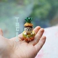 Ананасовый кот