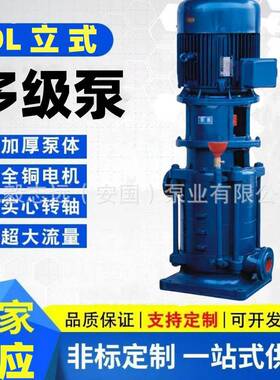 立式多级离心泵80DL50高层增压泵100DL锅炉补水循环离心泵