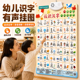 青葫芦知识挂图宝宝有声早教挂图