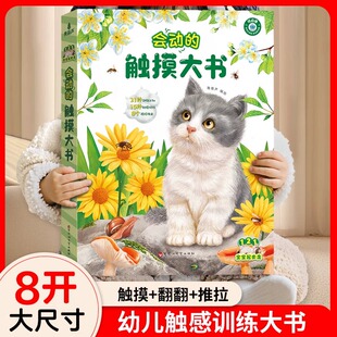 青葫芦会动的触摸大书 0-2-3岁宝宝的第一本触摸书婴儿幼儿启蒙认知英语早教儿童益智地板亮丽精美绘本翻翻机关书小鸡球球小兔比利