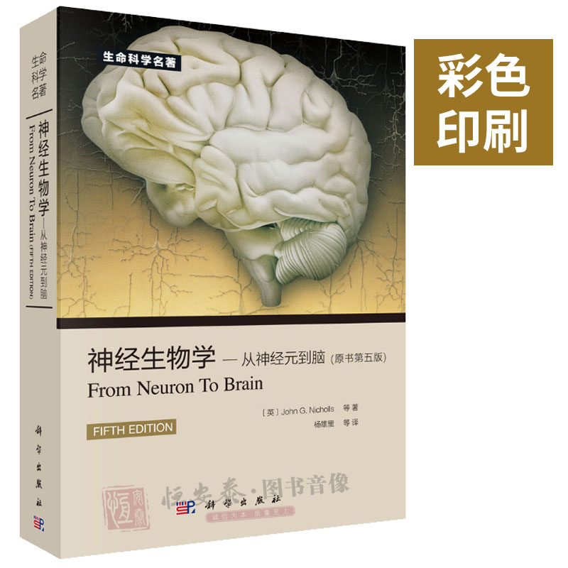 【正版现货】神经生物学从神经元到脑（原书第五版）第5版 尼克尔斯 杨雄里译 生命科学名著丛书神经细胞脑科学基础书籍神经医学