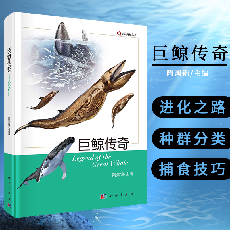 巨鲸传奇 隋鸿锦 主编 生命奥秘丛书 鲸的进化之路、种群分类、捕食技巧、洄游、同鱼类之区别