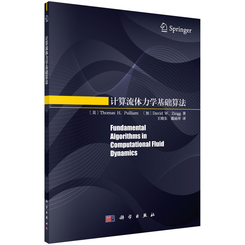 计算流体力学基础算法 王晓东 计算方法丛书 科学出版社