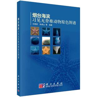 烟台海滨习见无脊椎动物原色图谱 王晓安9787030277855科学出版社