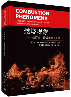 燃烧现象：火焰形成、传播和熄灭机制 [波兰] Jozef，Jarosinski著席文雄等译燃烧不同阶段火焰形成传播和熄灭的基本过程作用机制