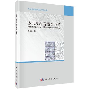 多尺度岩石损伤力学 朱其志9787030606891科学出版社