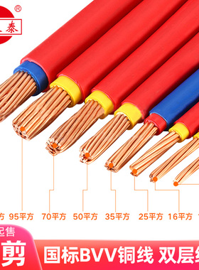 成天泰BVV电缆电线家用国标铜芯10平方工程双层进户线单芯护套线