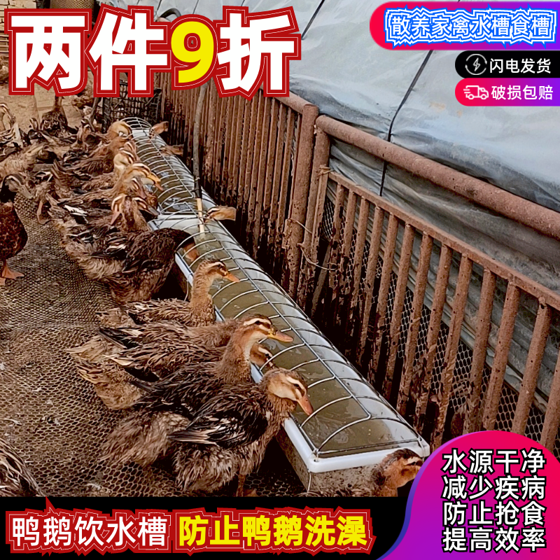 多莱牧食槽鸭鹅防止浪费污染畜牧