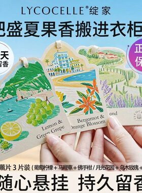 绽家家用车载精油香薰片3片1袋