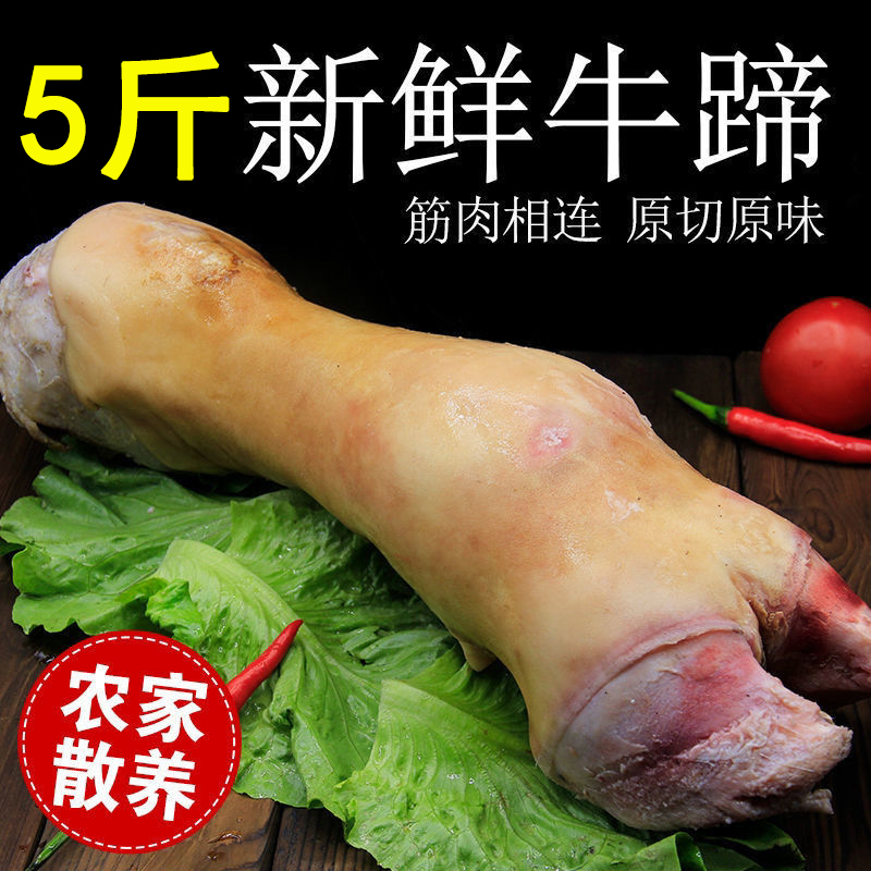5斤新鲜牛蹄整只切块生牛脚火烧去毛黄牛蹄子生鲜牛蹄脚带牛蹄筋