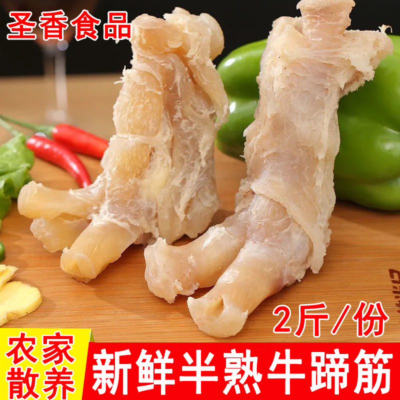 新鲜现煮半熟牛蹄筋20斤商用冷冻牛脚筋黄牛牛筋四川火锅烧烤食材