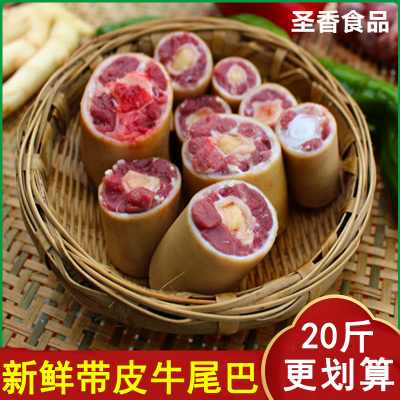 新鲜带皮牛尾巴整根现杀现切牛尾