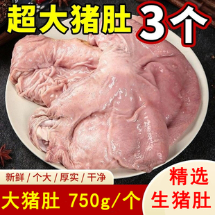 新鲜超大猪肚1.5斤整个猪大肚3只装猪胃冷冻生猪肚子猪肚鸡食材