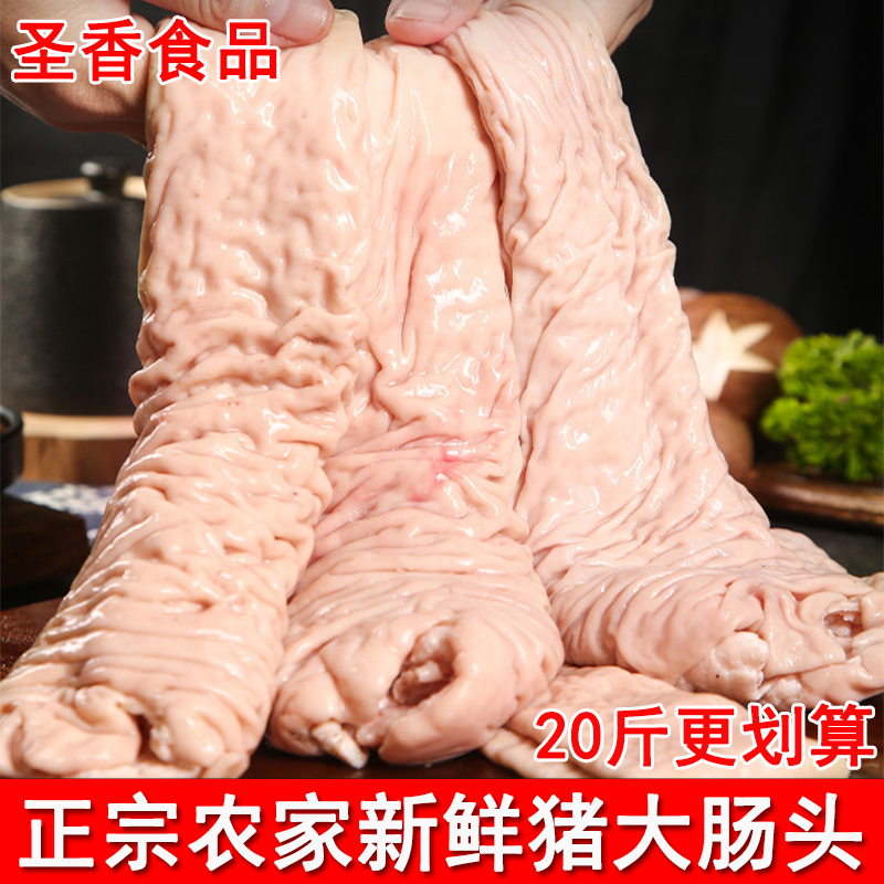 新鲜冷冻猪大肠头毛重20斤装