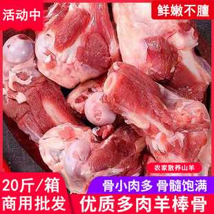 带肉骨髓羊棒骨新鲜羊骨头商用2斤20斤冷冻羊棒筒子骨头煲汤食材