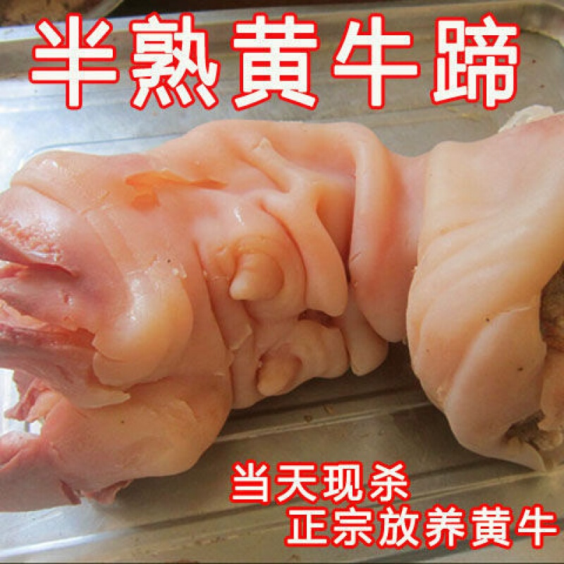 新鲜现煮半熟脱骨牛蹄去骨牛脚带牛蹄筋4斤原味红烧凉拌牛肉食材