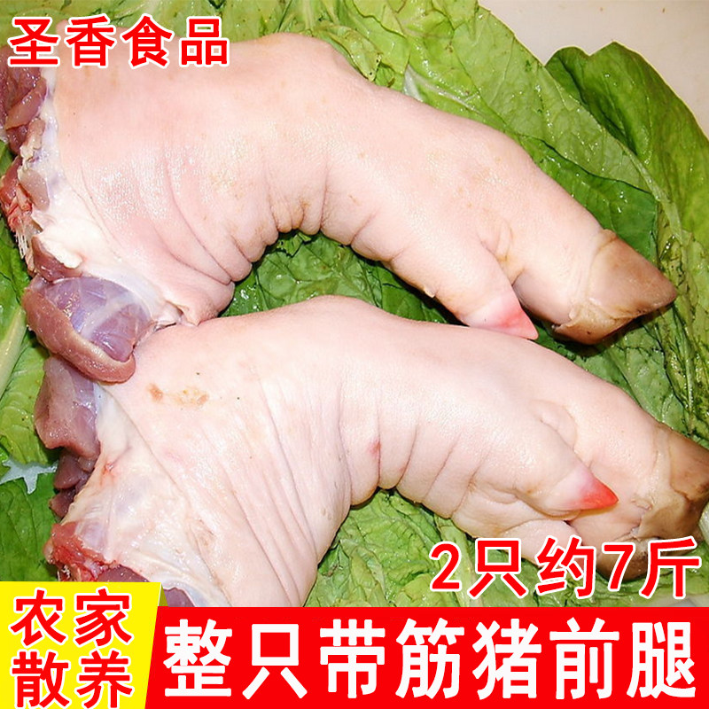 农家散养新鲜整只猪前腿猪大腿猪手土猪腿整只长猪脚腊猪脚食材