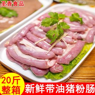 新鲜冷冻生猪粉肠20斤整箱商用猪杂汤粉饭店酒店卤水烧烤食材4斤