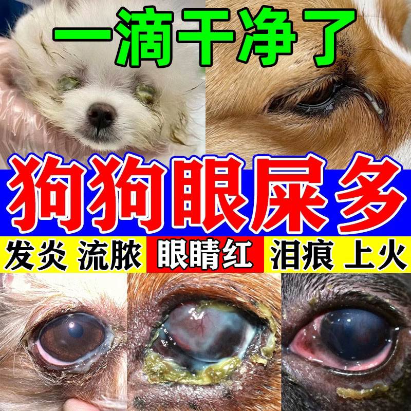 狗狗泪痕去除液比熊泰迪博美犬宠物眼药水清洁去眼屎流泪滴眼液图片