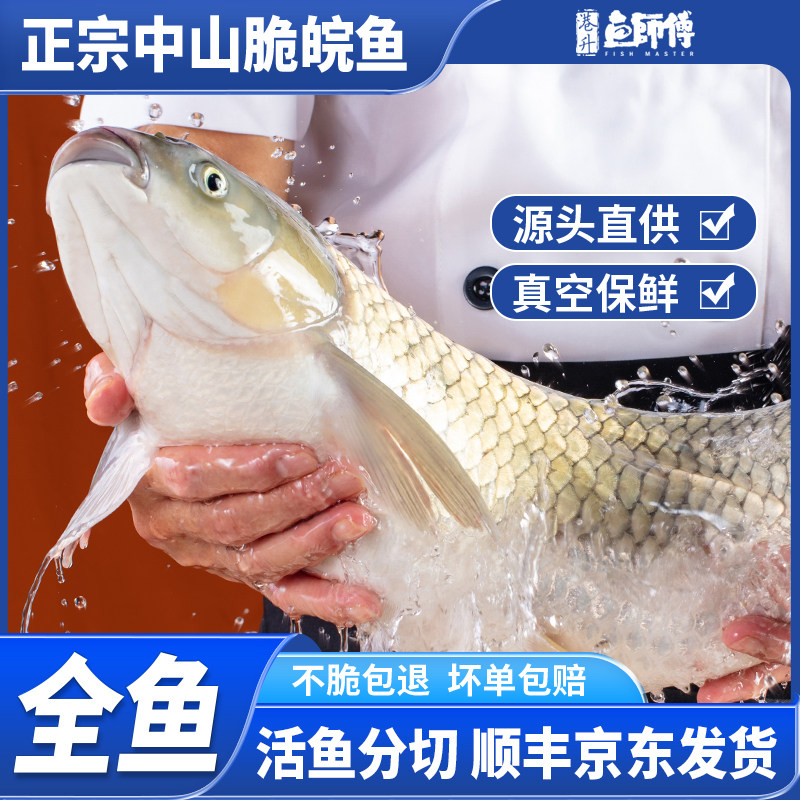 港升脆肉鲩活鱼下单现杀中山脆皖鱼新鲜冷冻广东脆鱼帮分切脆肉皖