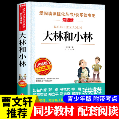 大林和小林张天翼 小学生三年级四年级五年级上册下册阅读课外书读的正版书籍 老师儿童文学全集宝葫芦的秘密童话经典书目推荐