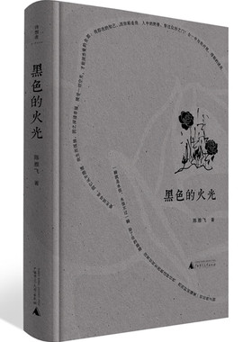 诗想者·黑色的火光 陈雅飞 著  广西师范大学出版社 9787559858566