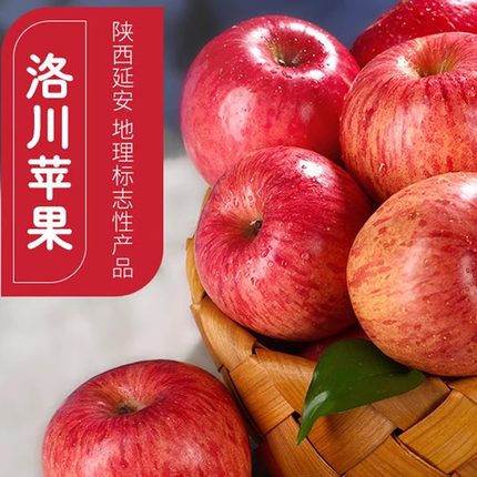 【顺丰】陕西延安洛川华硕苹果新鲜当季脆甜水果12枚一级果