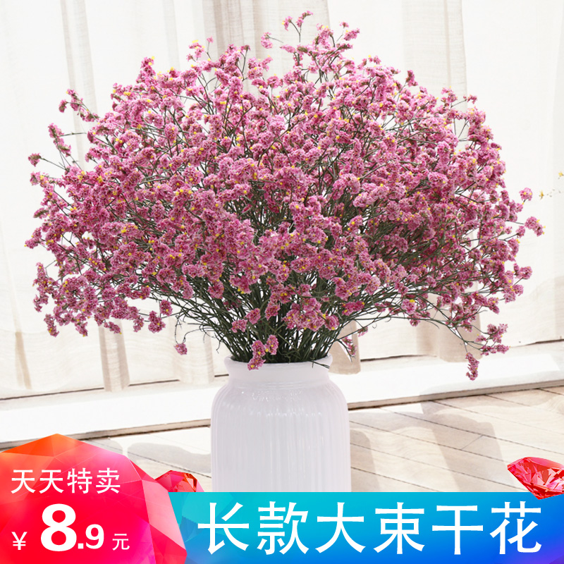 云南干花真花花束勿忘我滿天星干花裝飾家居客廳擺設風干花束真花