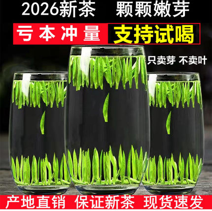雀舌单芽500g绿茶茶叶竹叶茶青新茶四川明前散装