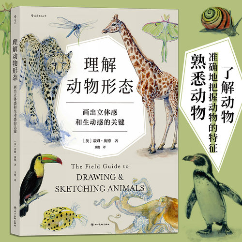 动物形态立体感骨骼美术入门