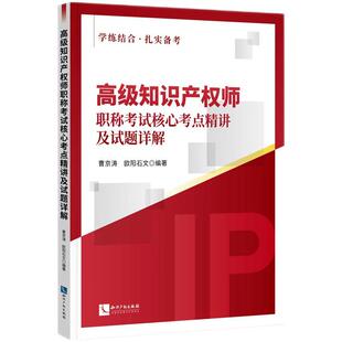 高级知识产权师职称考试核心考点精讲及试题详解