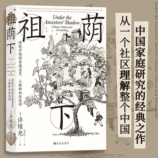 传统中国 新华书店正版 人格和社会流动 书籍 智慧宫丛书024 田野调查 文化研究社区研究 祖荫下 后浪正版 社会学 亲属关系