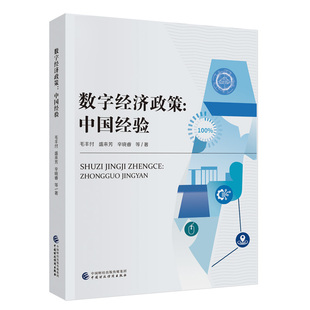 数字经济政策:中国经验